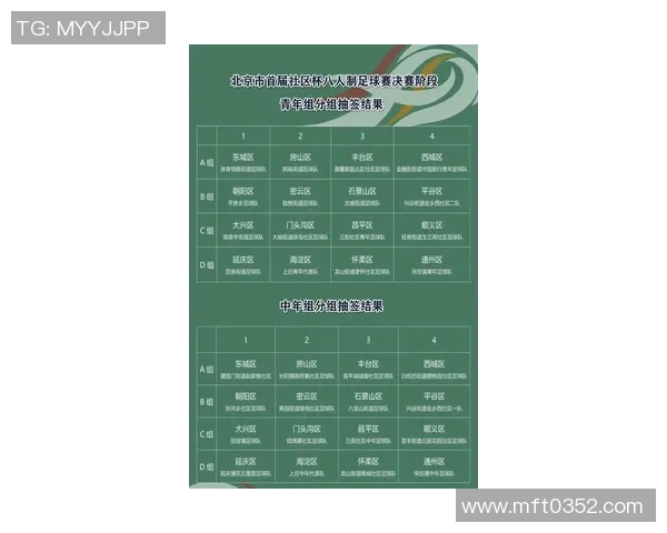 北京羽毛球队区域防守体系解析及其战术应用研究