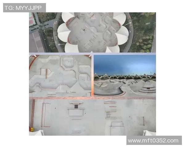 南京极限运动队的转型之路探索与挑战的结合之旅