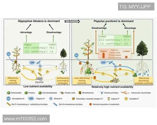 成都乒乓球队盯防策略解析及其对比赛胜负的影响探讨 成都乒乓球队盯防策略解析及其对比赛胜负的影响探讨